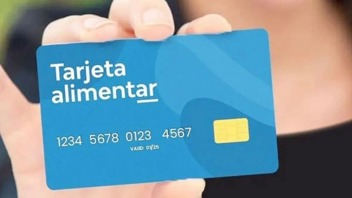 En febrero, se actualizaron los montos del beneficio para titulares de AUH y embarazadas. Foto: Tarjeta Alimentar. En febrero, se actualizaron los montos del beneficio para titulares de AUH y embarazadas. Foto: Tarjeta Alimentar.