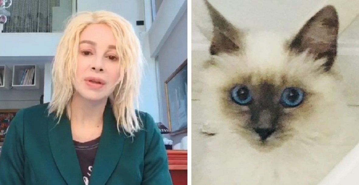 Poroto, el gato de Nacha Guevara, nuevo influencer