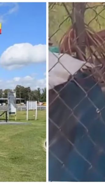 Horror en Córdoba: un hombre mató a su perro a mazazos y un vecino los filmó