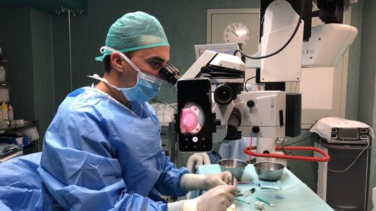 Restricciones aéreas: se perdieron cinco córneas para trasplantes por un vuelo cancelado desde Estados Unidos