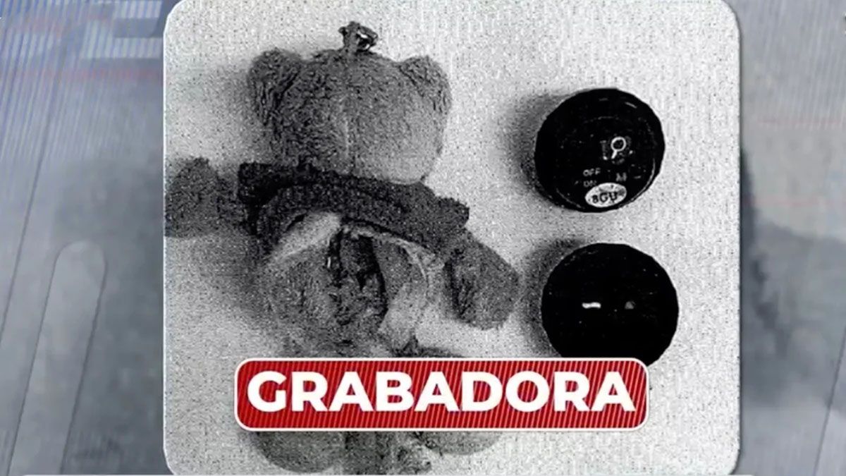 El osito de peluche que grabó el maltrato infantil. (Foto: Gentileza Antena 3)