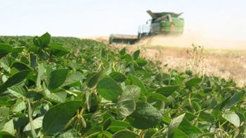 ¿Cómo usa el sector agro las criptomonedas?