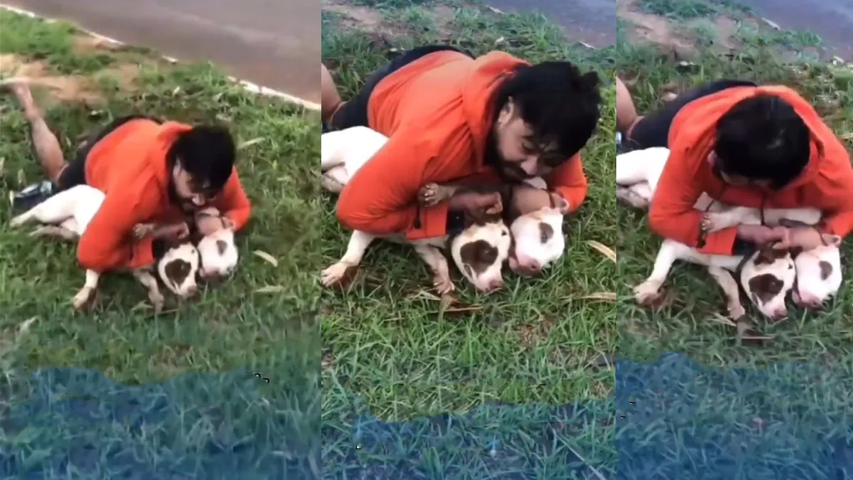 &nbsp;Logr&oacute; incorporarse y pudo hacerle una llave a ambos animales para poder reducirlos.