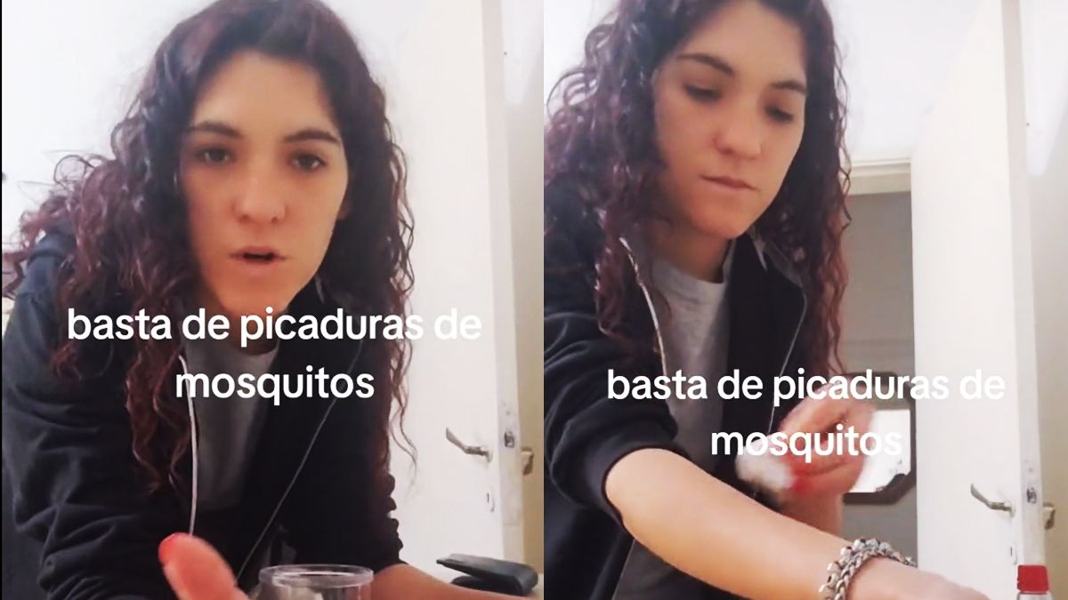 Invasión de mosquitos en CABA: repelente casero con esencia de vainilla&nbsp;