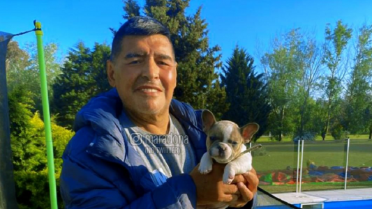 Cómo sigue la salud de Diego Maradona tras la exitosa operación de urgencia