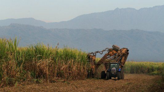 Ley de Biocombustibles: advierten que hay 200 mil empleos en riesgo por la falta de prórroga
