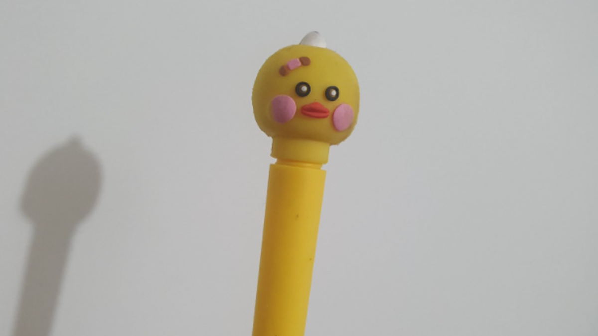 Paso 2021: Las redes sociales hablan de la lapicera, la primera protagonista de la jornada electoral