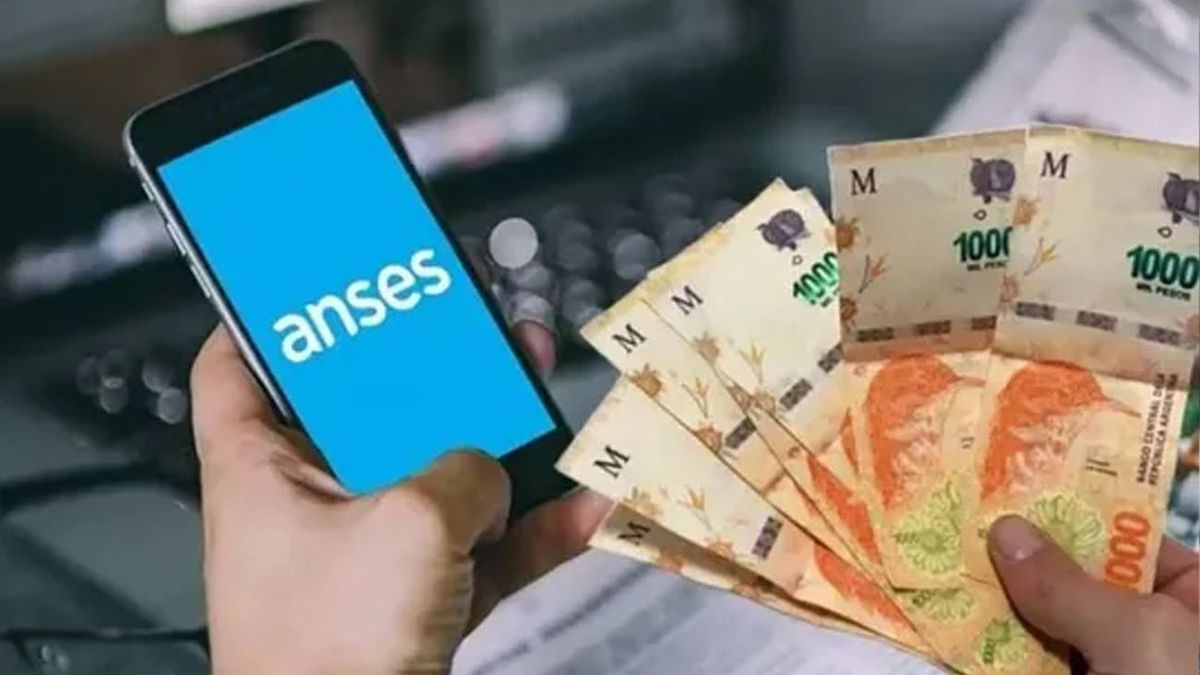 SUAF de ANSES: cuánto cobro en JUNIO 2024 (Foto: archivo)