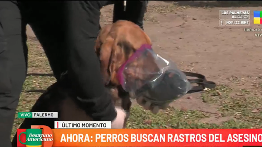 La desesperada búsqueda con perros para atrapar al asesino de Mariano Barbieri