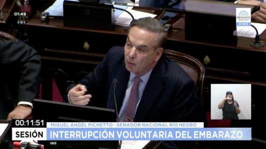 Pichetto: En un sistema presidencial, la posición del Presidente no puede ser abierta, debería haberse jugado más