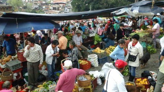 Los peligros que acechan a la seguridad alimentaria mundial en plena pandemia de Covid-19
