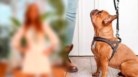 La mamá de una famosa guardó su perro muerto en el freezer