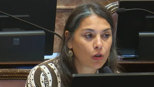 Ley Bases: se filtró el borrador del pliego de la senadora Lucila Crexell como embajadora antes de la votación