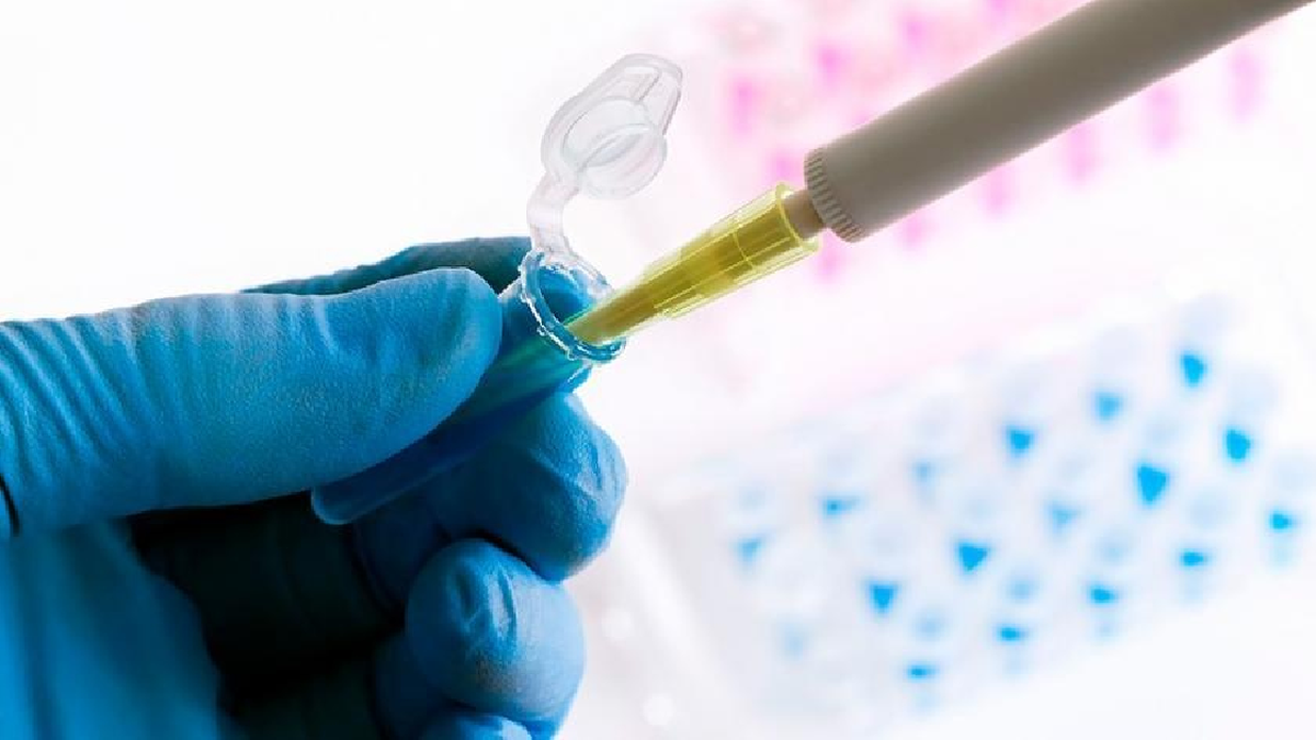 Vacuna argentina contra COVID-19: finalizó el ensayo clínico y se presentará en ANMAT (Foto: archivo)