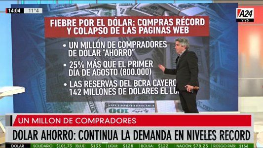 Dólar ahorro: continúa la demanda en niveles récord