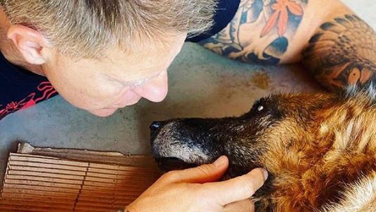 La triste despedida de Alejandro Fantino a su perro: Hoy se durmió mi compañero Willi