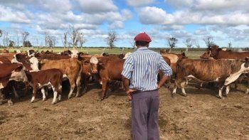 Vacunación contra el Covid-19: RENATRE pide hacer foco en los trabajadores rurales