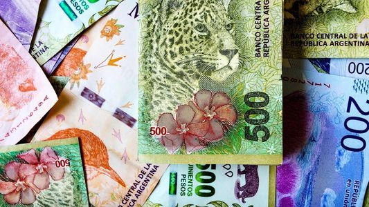 Cuáles son los montos del Programa Acompañar