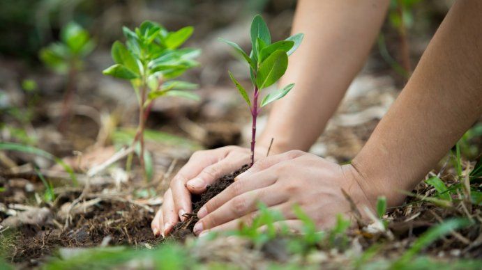 Cuidado del medio ambiente en Argentina