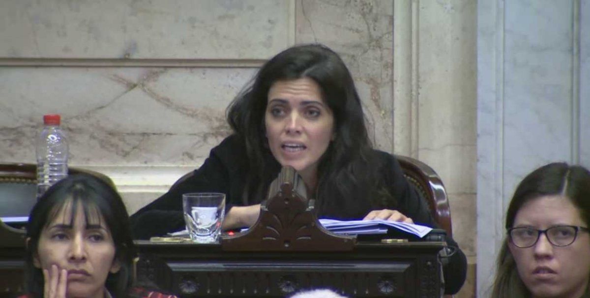 Una diputada kirchnerista le contestó a Martha Pelloni, a Vidal y Carrió: No pueden hablar de la crisis económica, entonces agredo a La Cámpora