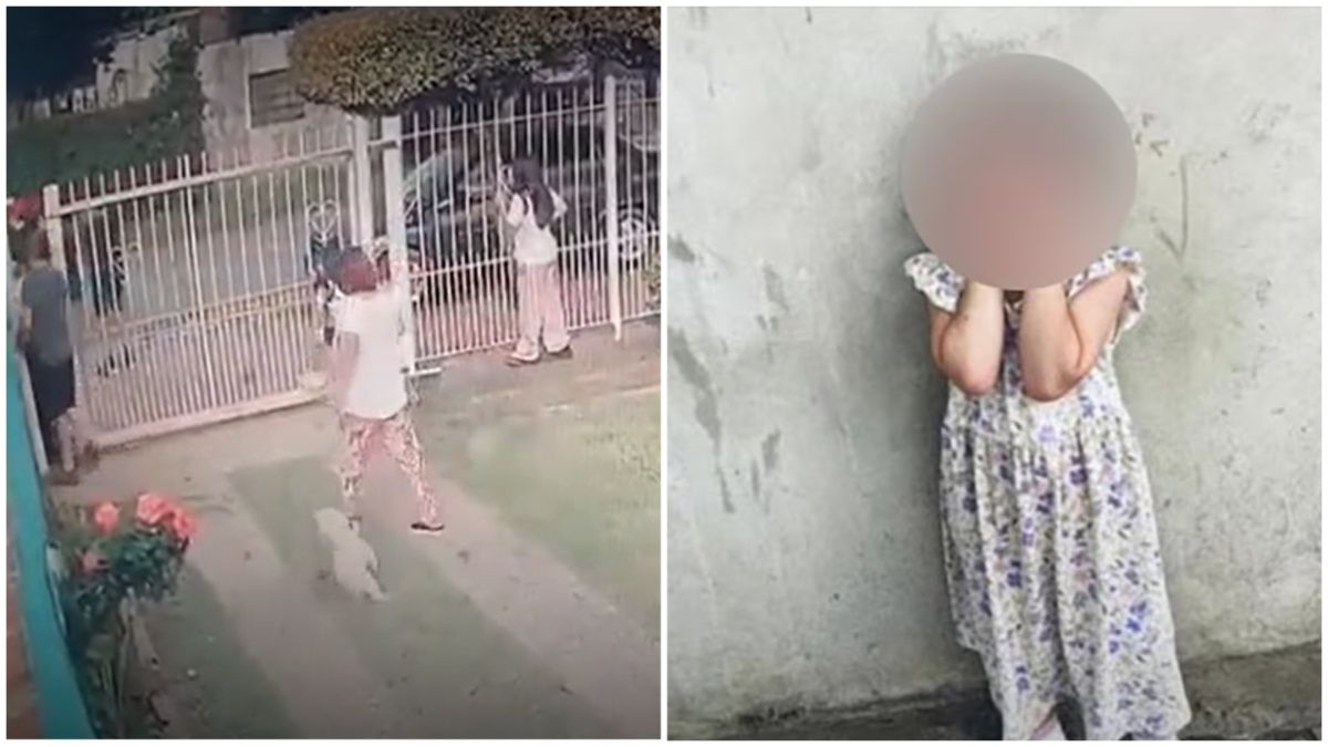 Una nena de 2 años jugaba en la puerta de su casa