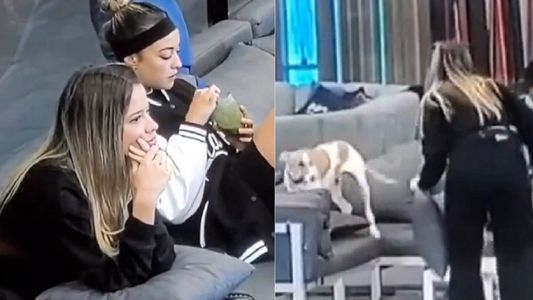 La reacción al límite de Zoe contra el perro Arturo por la que piden su expulsión de Gran Hermano