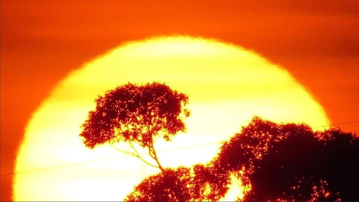 Calor récord en noviembre en todo el mundo. Otra advertencia sobre el cambio climático (Foto: gentileza Down to Earth).