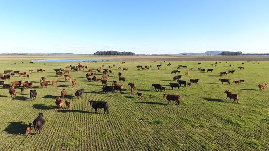¿Legítima defensa o justicia por mano propia? Productores del Norte se organizan para reaccionar ante usurpaciones