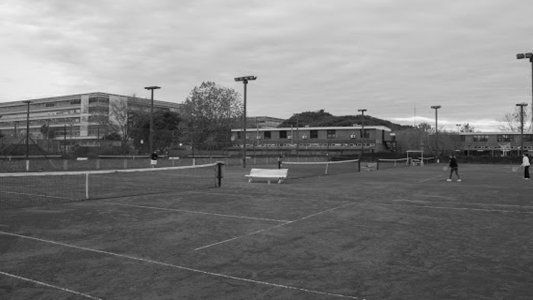 El deporte y la pandemia: diez mil familias del tenis piden volver a trabajar