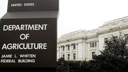 Tras el informe del USDA, el mercado se ilusiona con la demanda instantánea china