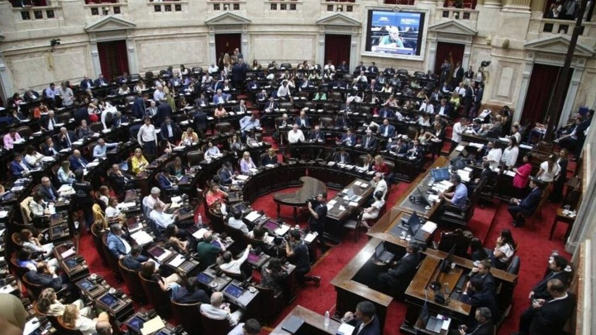 Diputados pidieron sesionar para bloquear el veto de Javier Milei a la Ley de Financiamiento Universitario