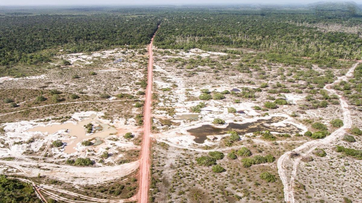 Evitar la deforestación del Amazonas, una de los acuerdos de la COP26 (Foto: Archivo)