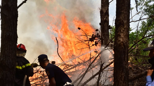 Corrientes en llamas: hay 7 mil focos de incendios y el gobernador Valdés pidió ayuda para levantarnos de este infierno