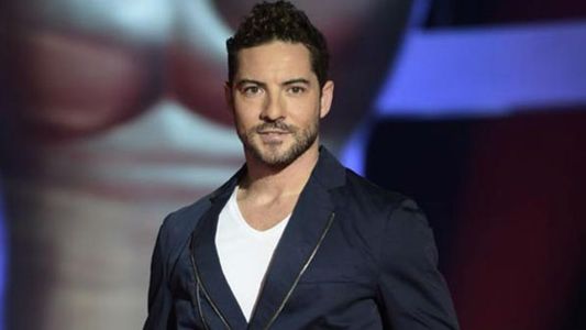 Fue condenado a la cárcel por intentar extorsionar a David Bisbal