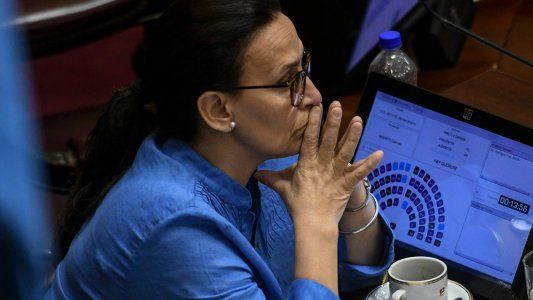 Sin sorpresas: Michetti ratificó que en caso de empate, votará en contra de la legalización del aborto