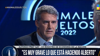Alfonso Prat Gay, en Animales Sueltos: Alberto Fernández se está llevando por delante la Constitución
