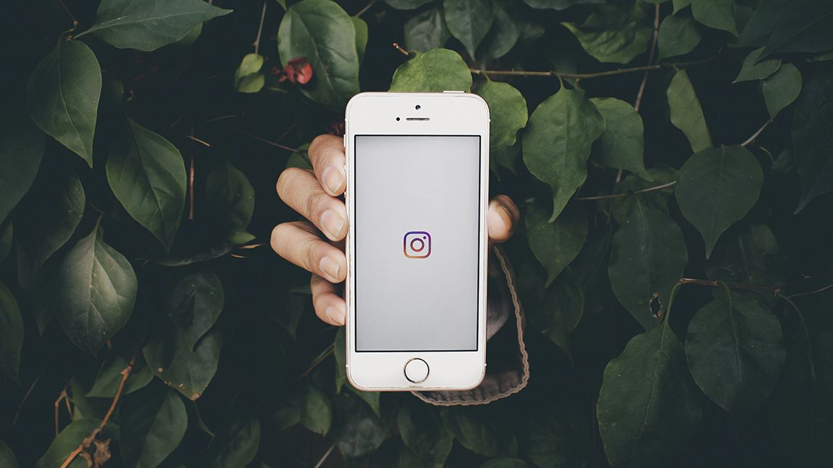 Cómo crear una página viral en Instagram: los principales consejos