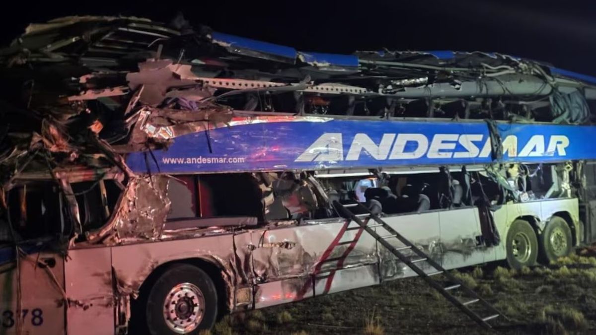 Cuatro personas murieron y más de veinte resultaron heridas en el brutal choque entre un micro con pasajeros y un camión en Santa Cruz. (Foto: X)