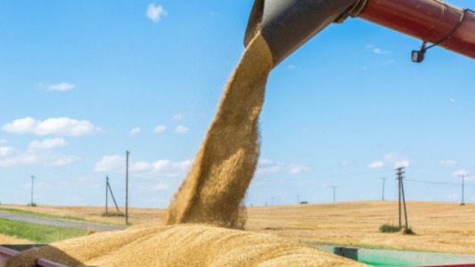 Las consecuencias de caer en el mismo error