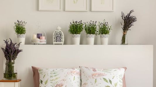 ¿Es peligroso dormir con plantas en la habitación?