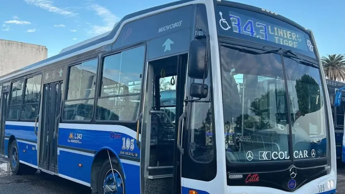 Sorpresivo paro de colectivos en el AMBA: a qué líneas afecta