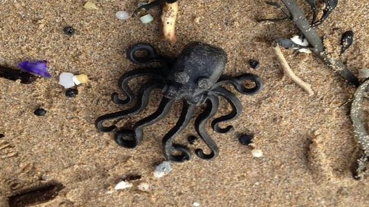 Impresionante: una mujer pasa 25 años tratando de encontrar 5 millones de piezas de Lego perdidas en el mar