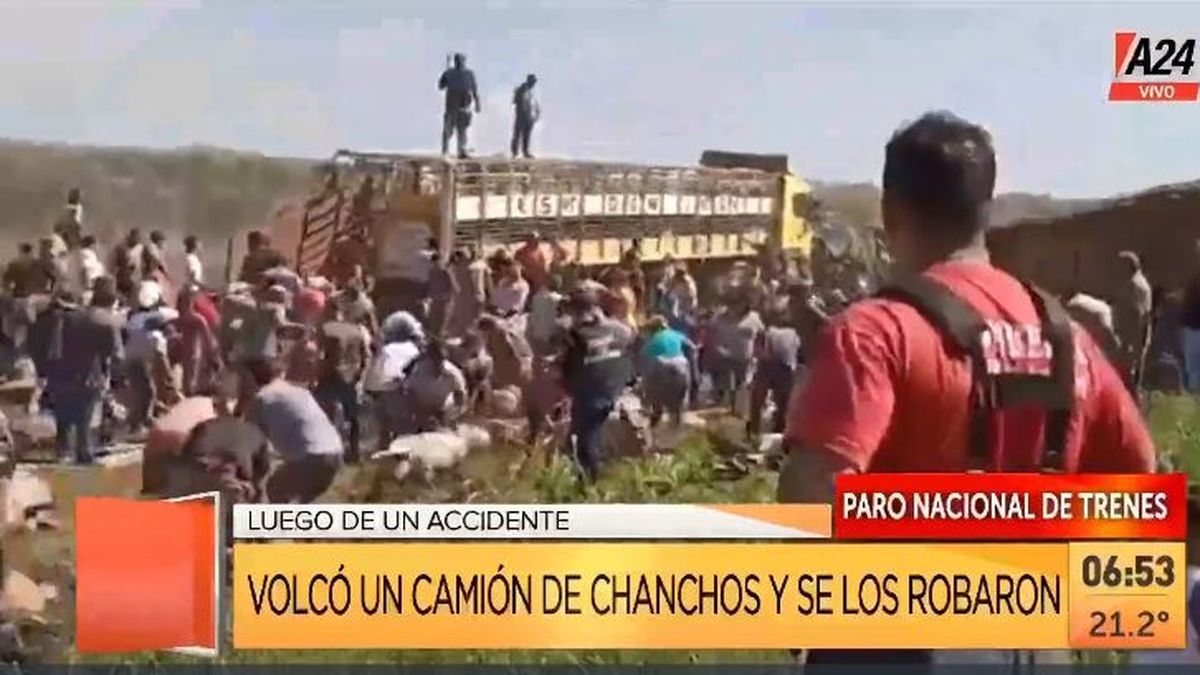 Córdoba: volcó un camión y así se robaban los cerdos. (Captura de Tv)
