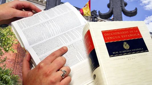 Alerta espóiler: el diccionario de la Real Academia Española tiene chorros
