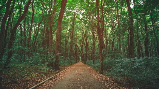 Gaming, productores agropecuarios y una acción contra el cambio climático