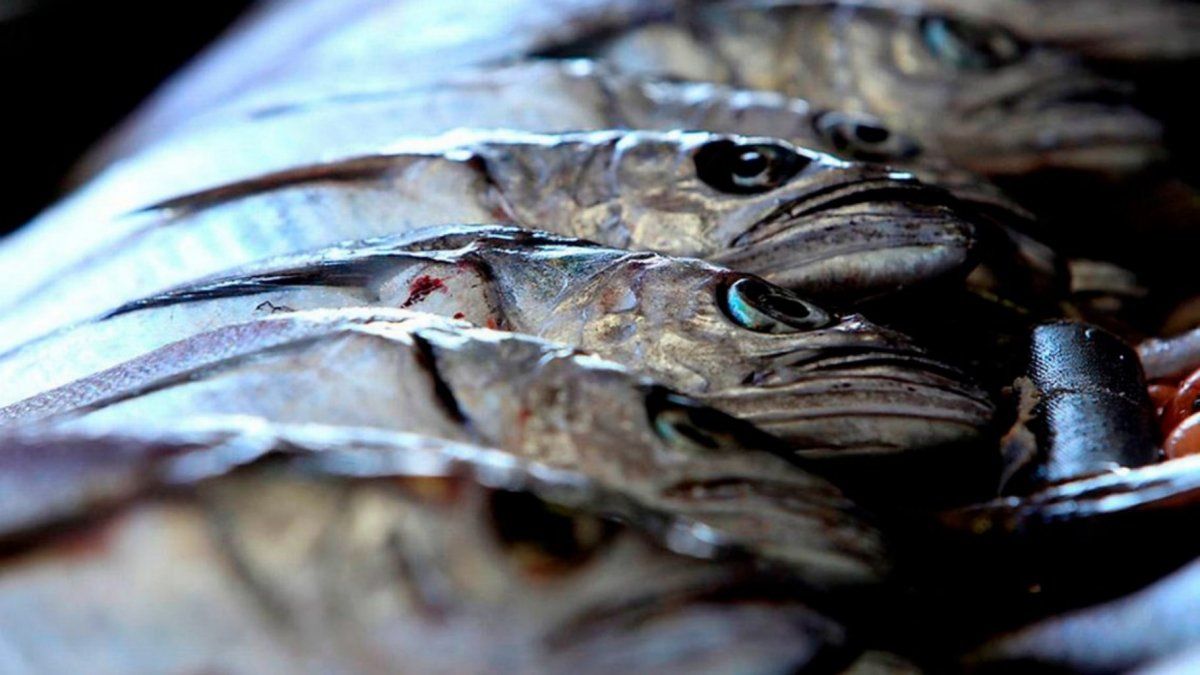 Semana Santa: el kilo de filet de merluza aumentó un 23% y superó por 2,5% a la inflación
