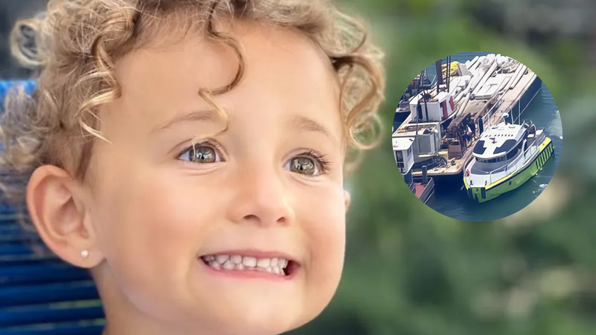 Muerte de Mila Yankelevich: el documento clave que podría aportar un giro a la investigación