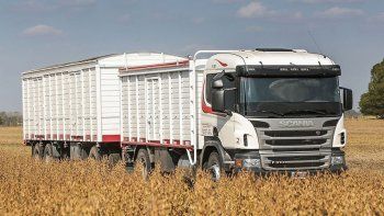 El transporte pidió por medidas unificadas para poder transitar las fronteras de la región. El transporte pidió por medidas unificadas para poder transitar las fronteras de la región.