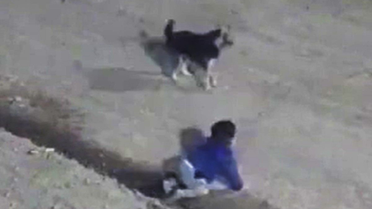 El bebé hallado en la calle