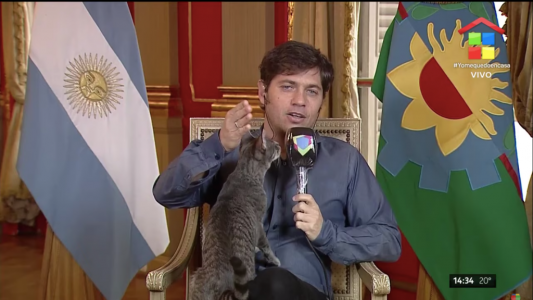 Imperdible: la gatita que apareció en vivo en el escritorio de Axel Kicillof